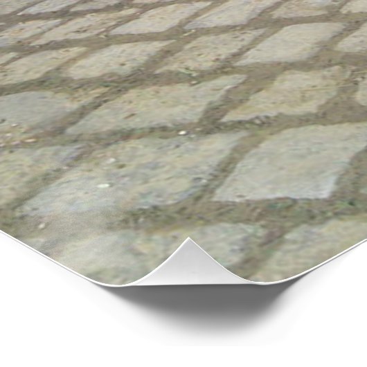 Colorful Citroen 2 CV Poster (Hoek)