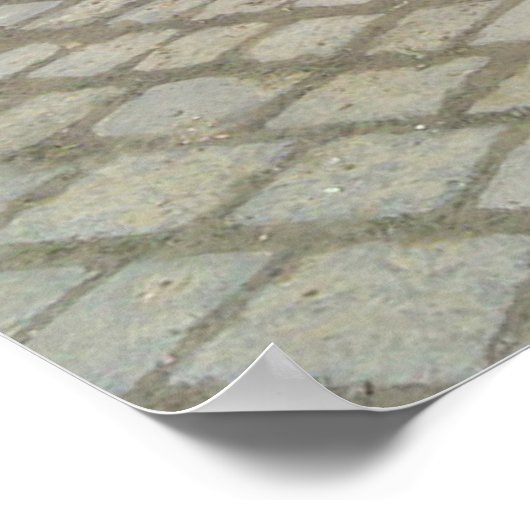 Colorful Citroen 2 CV Poster (Hoek)