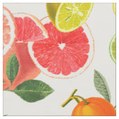 Colorful Citrus Fruits Stof (Close Up)