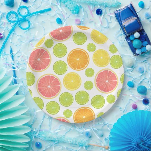 Colorful Citrus Slices Papieren Bordje (Feest)
