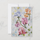 COLORFUL CLIMBING SWEET PEA FLOWERS RSVP (Achterkant)