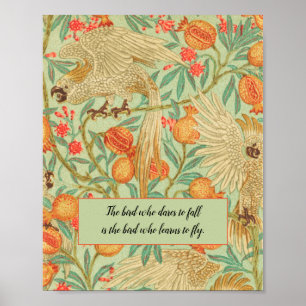 Colorful Cockato  Bird Poster