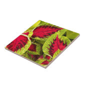 Colorful Coleus Leaves Floral Tegeltje (Zijkant)