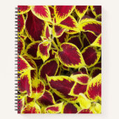 Colorful Coleus Plant laat Floral Notitieboek (Voorkant)