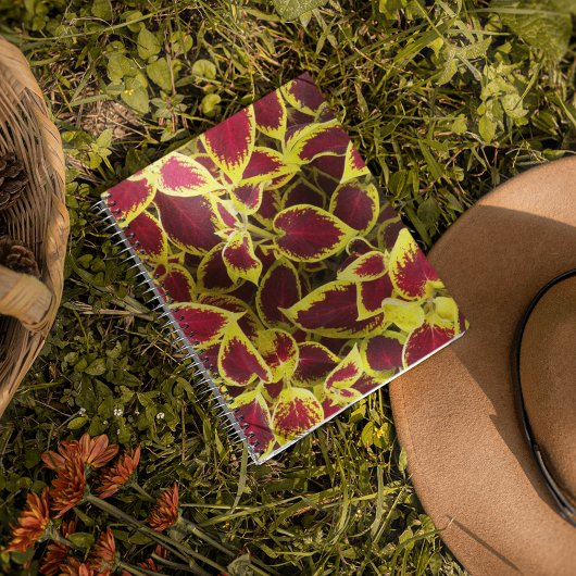 Colorful Coleus Plant laat Floral Notitieboek