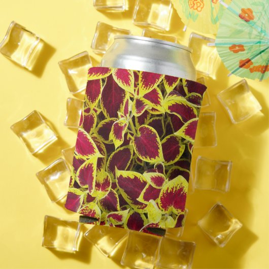 Colorful Coleus Plant Leaves Floral Blikjeskoeler (Insitu Zomer)