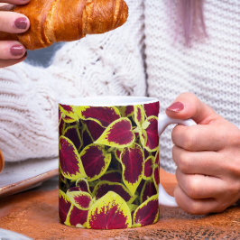 Colorful Coleus Plant Leaves Floral Mok