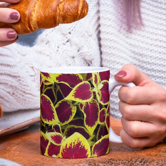 Colorful Coleus Plant Leaves Floral Mok