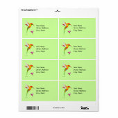 Colorful Colibri Birds Etiket (Full Sheet)