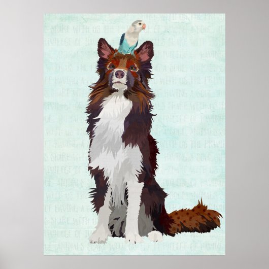 COLORFUL COLLIE EN BLUE BIRD POSTER (Voorkant)
