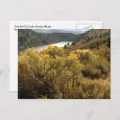 Colorful Colorado Canyon Brush Briefkaarten (Voorkant / Achterkant)