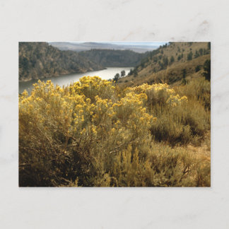 Colorful Colorado Canyon Brush Briefkaarten