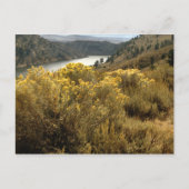 Colorful Colorado Canyon Brush Briefkaarten (Voorkant)