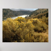 Colorful Colorado Canyon Brush Prints (Voorkant)