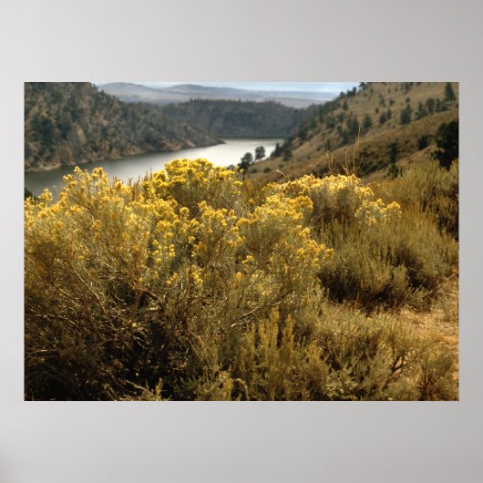 Colorful Colorado Canyon Brush Prints (Voorkant)