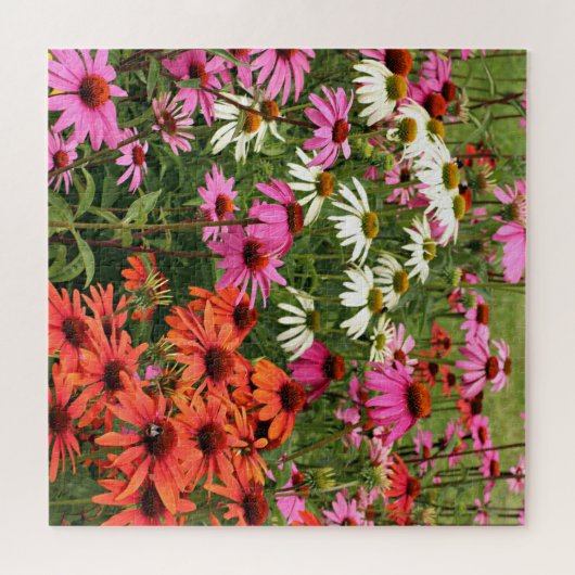 Colorful Coneflowers Legpuzzel (Horizontaal)