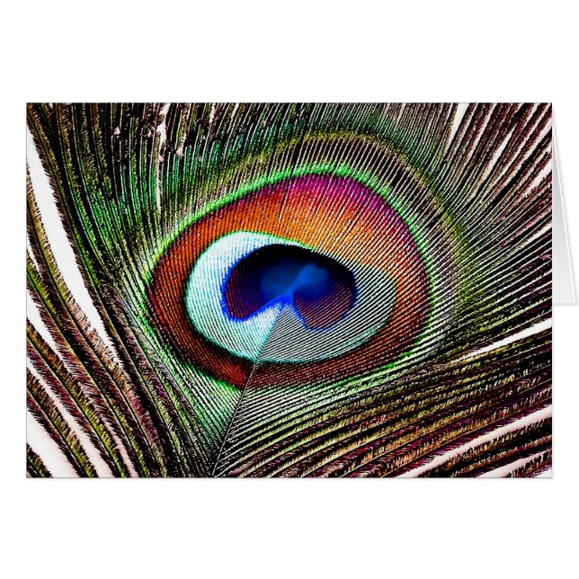 Colorful Copper Peacock Feather (Voorkant Horizontaal)