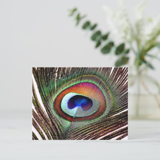 Colorful Copper Peacock Feather Briefkaart (Staand voorkant)