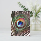 Colorful Copper Peacock Feather Briefkaart (Staand voorkant)