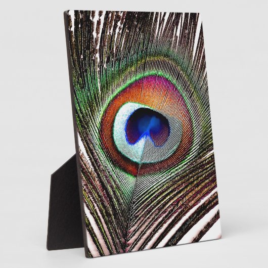 Colorful Copper Peacock Feather Fotoplaat (Zijkant)