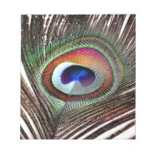 Colorful Copper Peacock Feather Notitieblok (Voorkant)