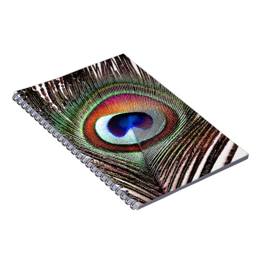 Colorful Copper Peacock Feather Notitieboek (Rechterzijde)