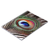 Colorful Copper Peacock Feather Notitieboek (Linkerzijde)