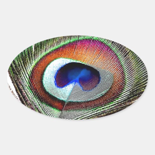 Colorful Copper Peacock Feather Ovale Sticker (Voorkant)