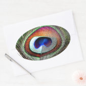 Colorful Copper Peacock Feather Ovale Sticker (Envelop)