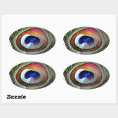 Colorful Copper Peacock Feather Ovale Sticker (Vel)