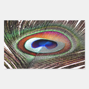 Colorful Copper Peacock Feather Rechthoekige Sticker