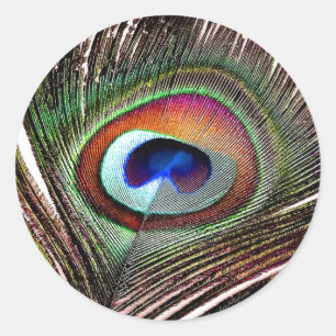 Colorful Copper Peacock Feather Ronde Sticker