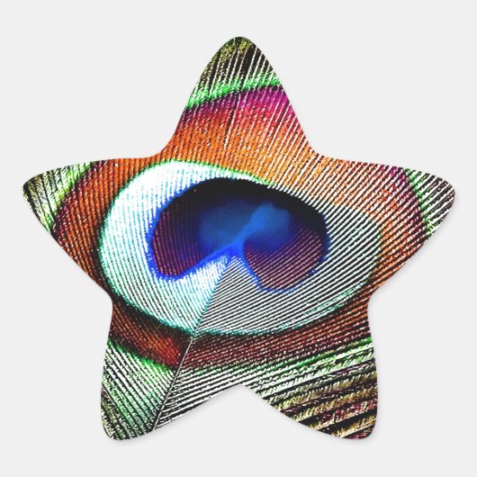 Colorful Copper Peacock Feather Ster Sticker (Voorkant)