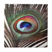 Colorful Copper Peacock Feather Tegeltje (Voorkant)