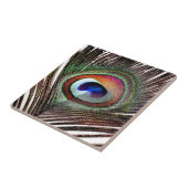 Colorful Copper Peacock Feather Tegeltje (Zijkant)