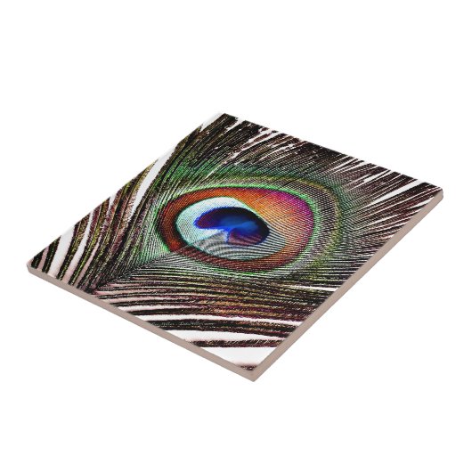 Colorful Copper Peacock Feather Tegeltje (Zijkant)