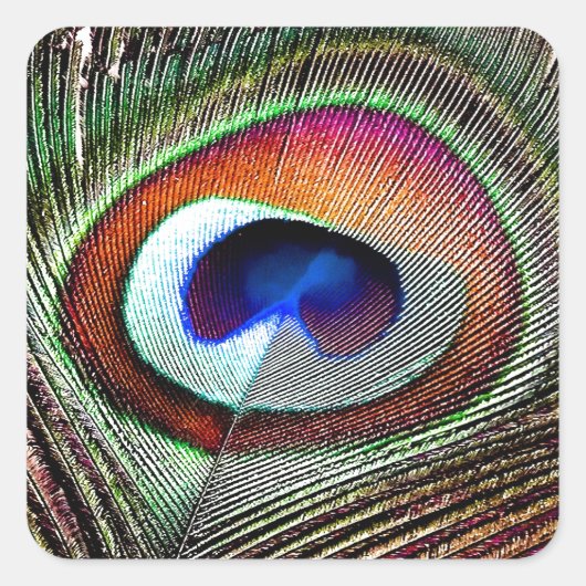 Colorful Copper Peacock Feather Vierkante Sticker (Voorkant)