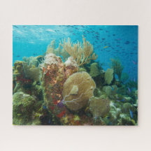 Colorful Coral Reef Jigzaag Puzzle