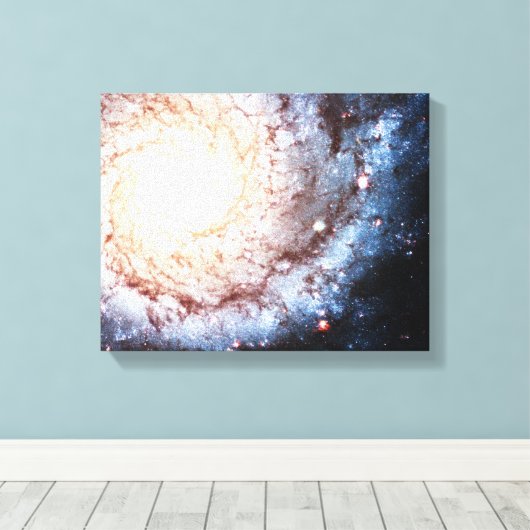 Colorful Cosmos Canvas Afdruk (Insitu (Houten vloer))