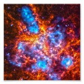 Colorful Cosmos Foto Afdruk (Voorkant)