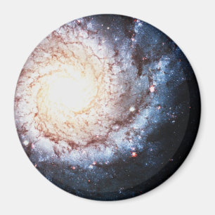 Colorful Cosmos Magneet