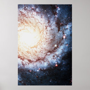 Colorful Cosmos Poster
