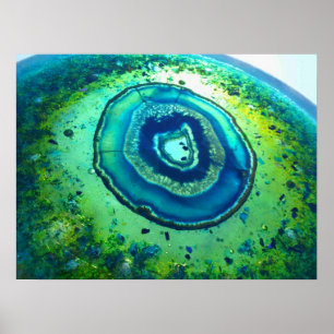 Colorful Cosmos Print #1
