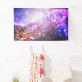 Colorful Cosmos Spandoek (Insitu)