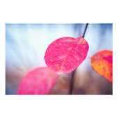 Colorful Cotonou Leaves Foto Afdruk (Voorkant)