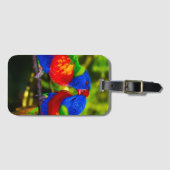 Colorful Couple of Kissende Parrots Bagagelabel (Voorkant (horizontaal))