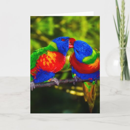Colorful Couple of Kissende Parrots Kaart (Voorkant)