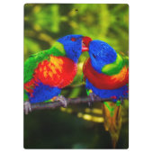 Colorful Couple of Kissende Parrots Klembord (Achterkant)