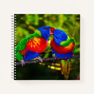 Colorful Couple of Kissende Parrots Notitieboek