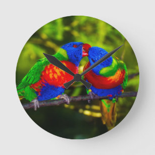 Colorful Couple of Kissende Parrots Ronde Klok
